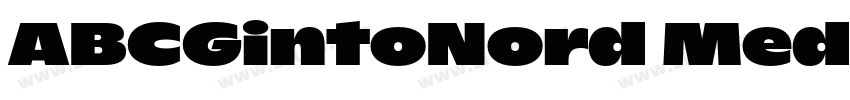 ABCGintoNord Medium字体转换